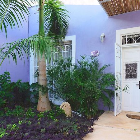 Вилла Casa Violeta Мерида Экстерьер фото